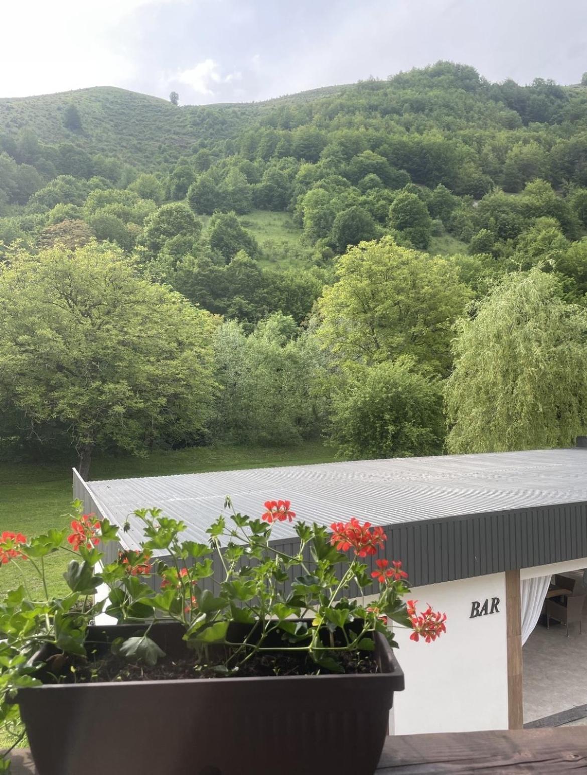 Pensiunea An De An Remeţi Exterior foto