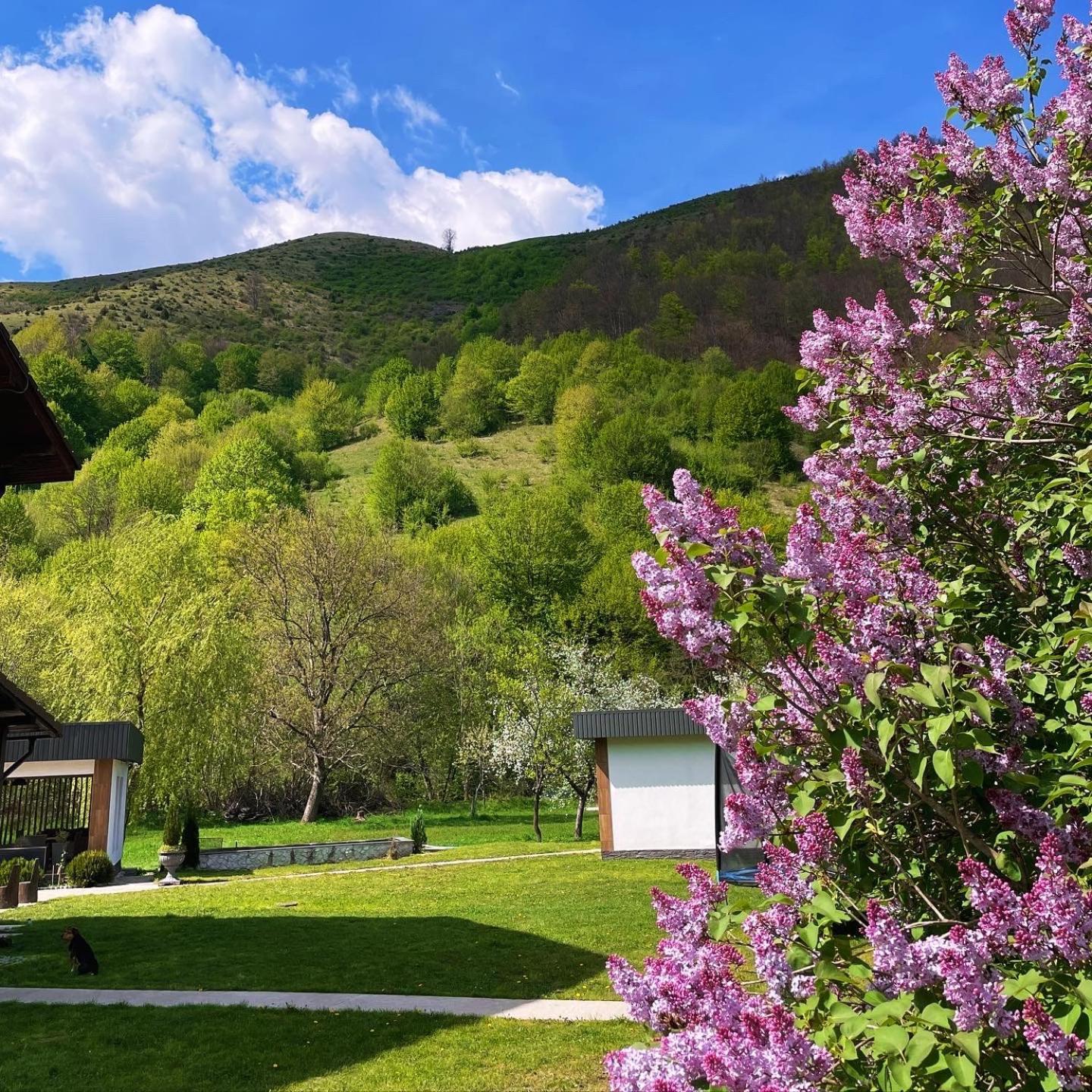 Pensiunea An De An Remeţi Exterior foto